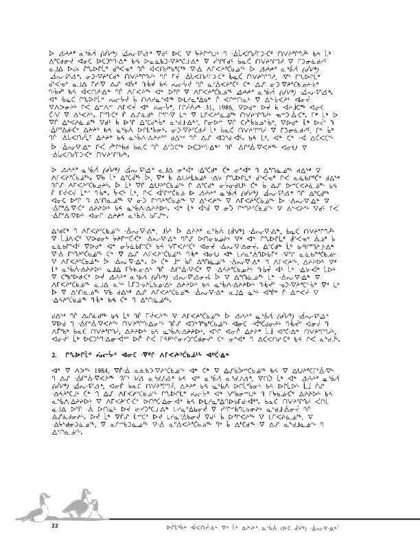 11923 CNC Report 2004_CREE - page 22